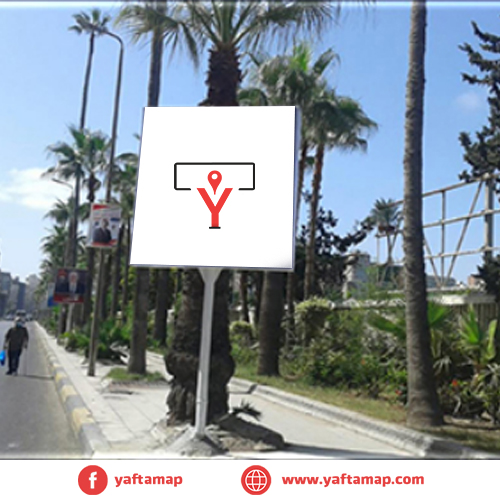 شاسية - اليكس - نادى سبورتينج