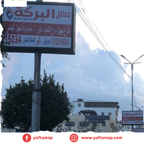 FANOUS - TALKHA - DAKAHLIA