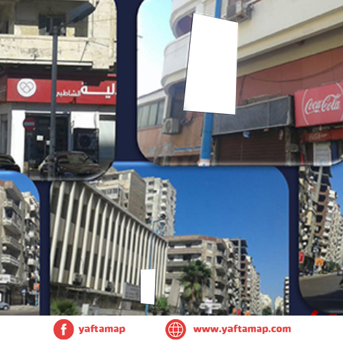 FANOUS DOUBLE - ALEX - PORT SAID ST