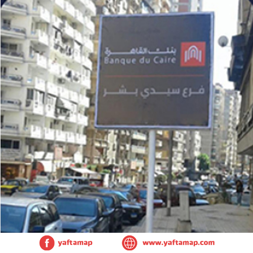 شاسية - اليكس - هيلتون رمادا